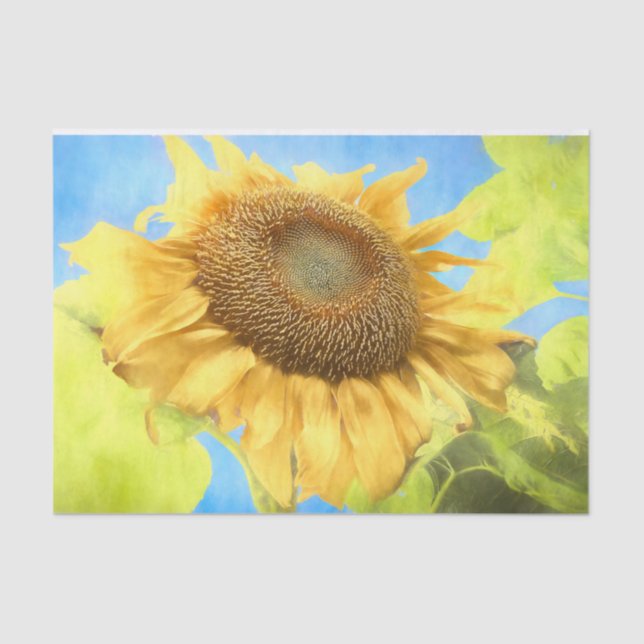 Papier Mousseline Tournesol-Pays Aquarelle jaune rustique (Recto)