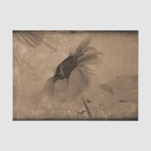 Papier Mousseline Tournesol Sépia Brun Vintage Antique Ancienne Text