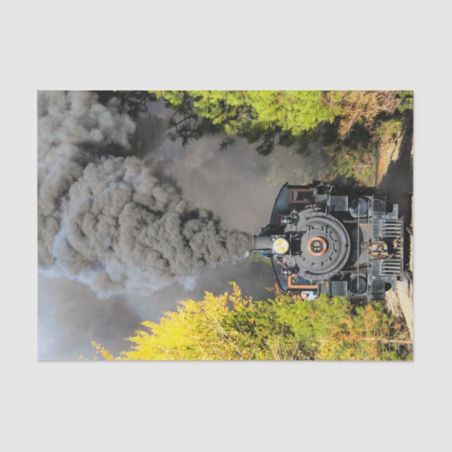 Papier Mousseline Train 19 (Recto)