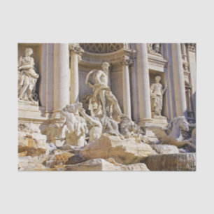 Papier Mousseline Trevi fountain