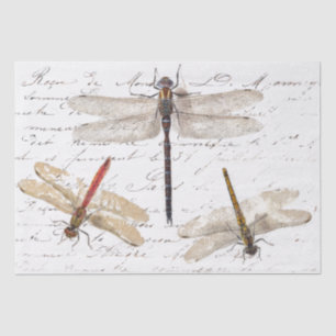 Papier Mousseline Trois dragonfly French Script Decoupage Vintage