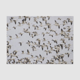 Papier Mousseline Troupeau d'oies en vol