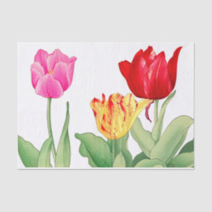 Papier Mousseline Tulipe, Bois japonais, Découpage