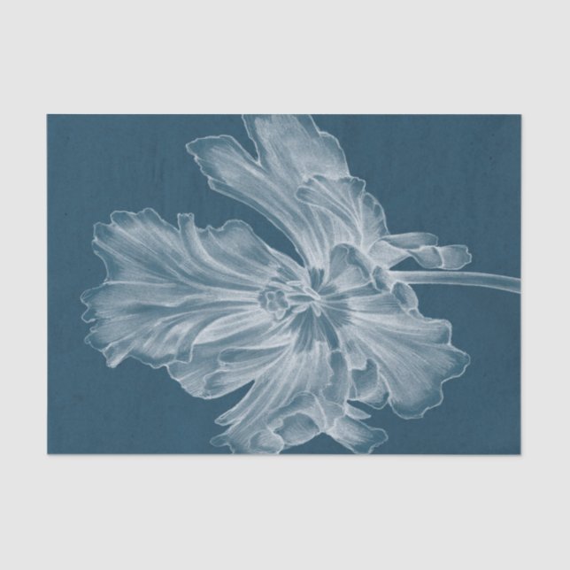Papier Mousseline Tulipe monochrome II (Recto)