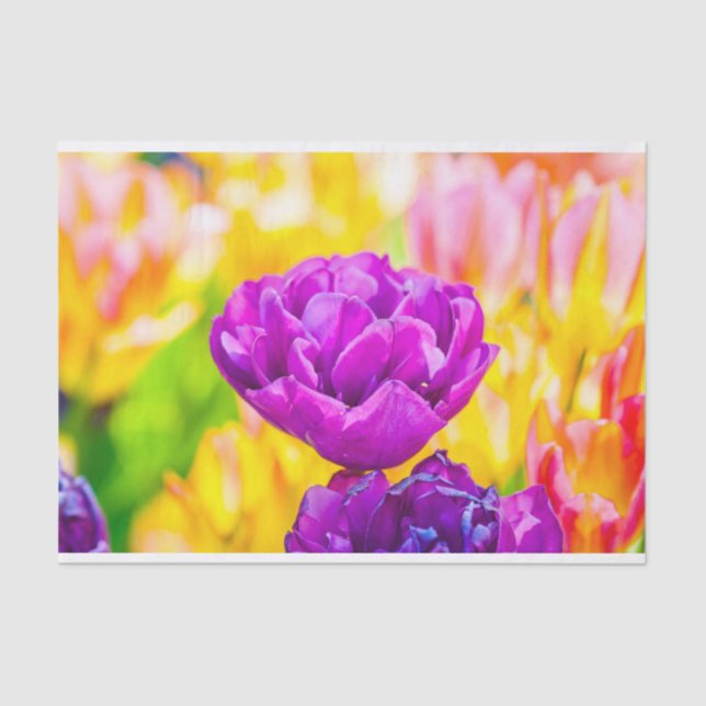 Papier Mousseline Tulipes Enchanter 15 (Recto)