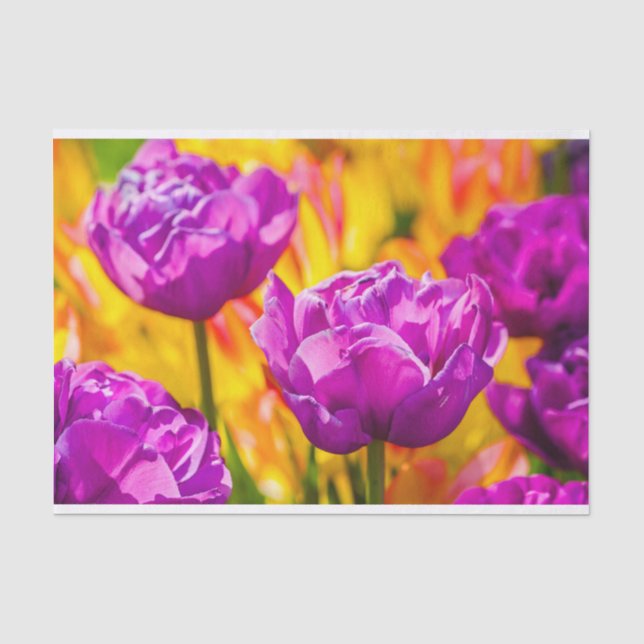Papier Mousseline Tulipes Enchanter Violet (Recto)