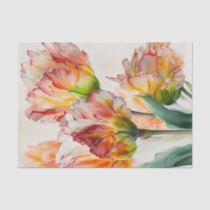 Papier Mousseline TULIPMANIE 4/6 modèles éblouissants de tulipe de p