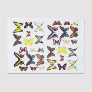 Papier Mousseline Types de papillons Collection Colorée