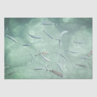 Papier Mousseline Un banc de poissons