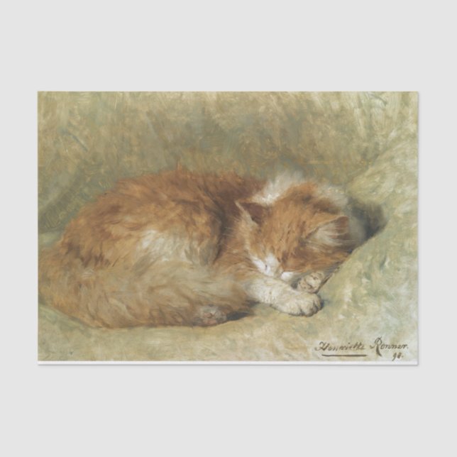 Papier Mousseline Un chat endormi par Henriette Ronner-Knip (Recto)