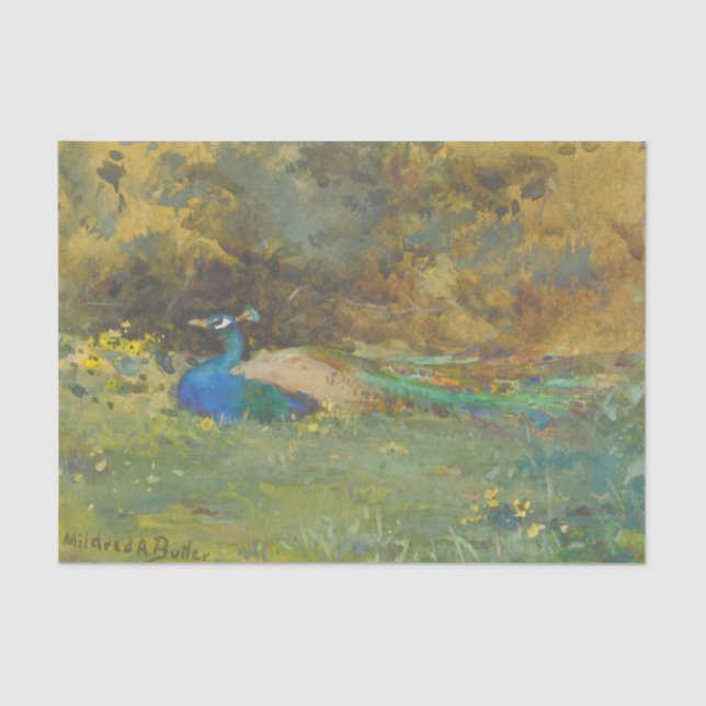 Papier Mousseline Un paon dans un jardin par Mildred Anne Butler (Recto)
