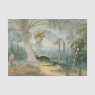 Papier Mousseline Un paysage à Ceylan par Samuel Daniell