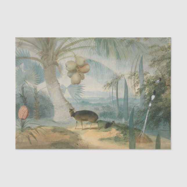 Papier Mousseline Un paysage à Ceylan par Samuel Daniell (Recto)