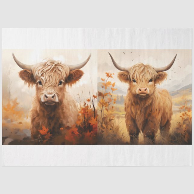 Papier Mousseline Une collection de designs de vaches des Highlands  (Recto)