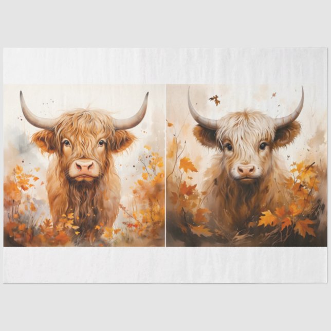 Papier Mousseline Une collection de dessins de vaches des Highlands  (Recto)