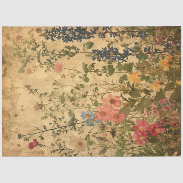 Papier Mousseline Une conception de la série Éphémères de printemps  (Recto)