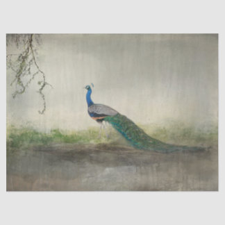 Papier Mousseline Une Fois