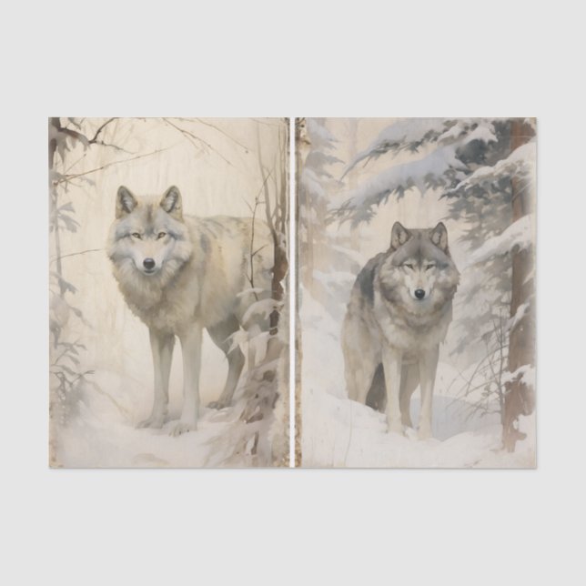 Papier Mousseline Une paire distincte de loups dans la forêt d'hiver (Recto)