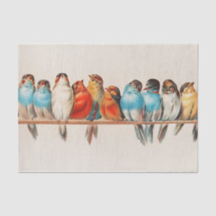 Papier Mousseline Une perche d'oiseaux