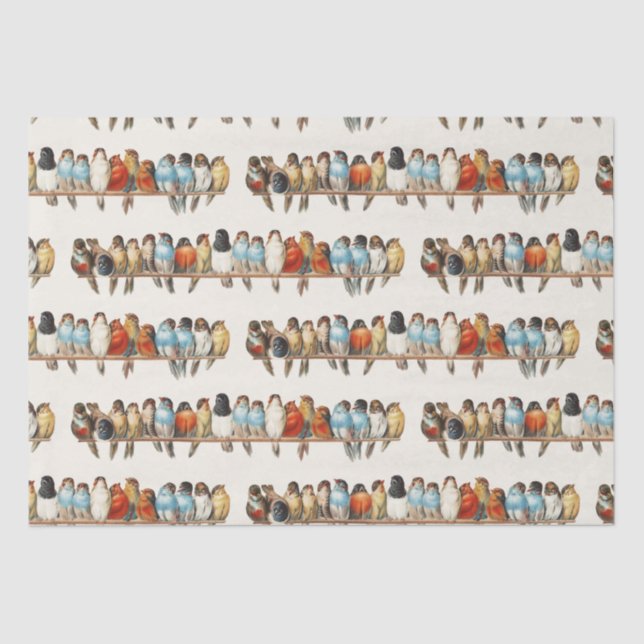 Papier Mousseline Une perche d'oiseaux Illustration de la perche Vin (Recto)