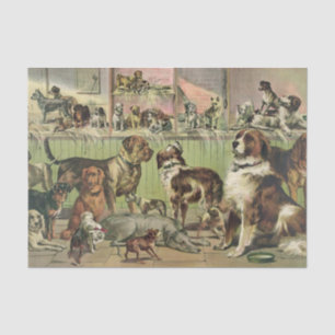 Papier Mousseline Une pléthore de tissus de chiens