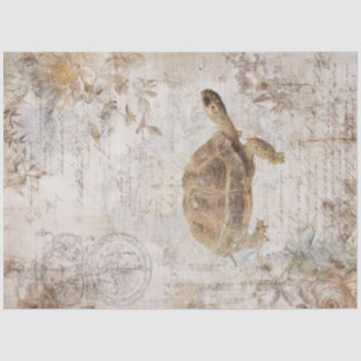 Papier Mousseline Une série de dessins de tortues vintage #10