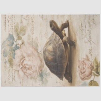 Papier Mousseline Une série de dessins de tortues vintage #11
