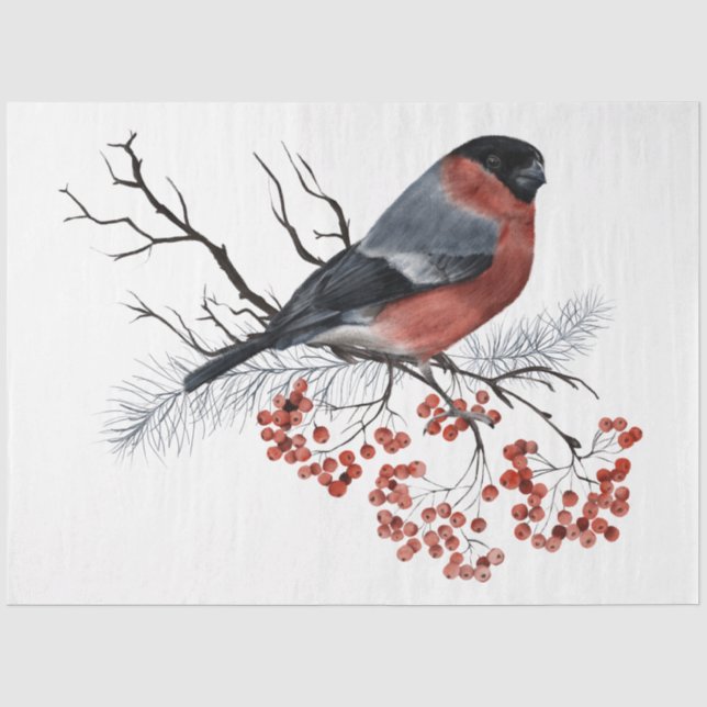 Papier Mousseline Une série de dessins d'oiseaux de Noël 7 (Recto)