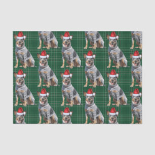 Papier Mousseline Vacances de Noël de Chien Vert Plaid Bleu Heeler