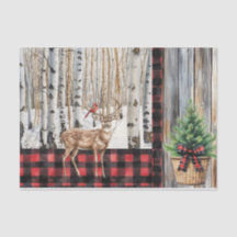 Vacances d'hiver Cardinal et Cerf