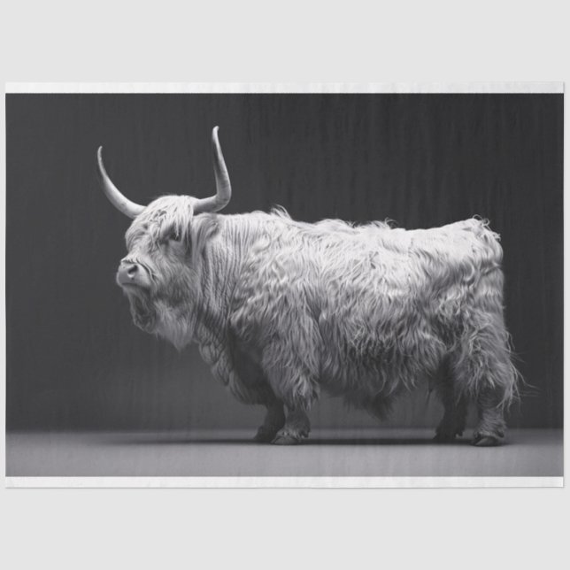 Papier Mousseline Vache des Highlands Noir et Blanc Decoupage (Recto)