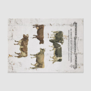 Papier Mousseline Vaches rustiques à style vintage de vache laitière