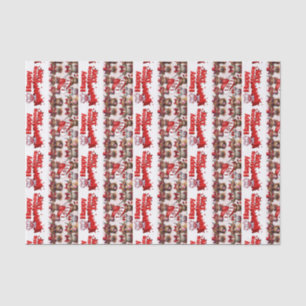 Papier Mousseline Valentine's Day Tissue Paper Vaches Coeurs rouges