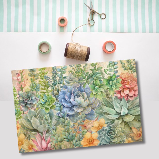 Papier Mousseline Variété de succulentes (Créateur téléchargé)