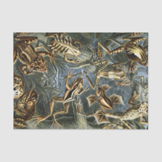 Papier Mousseline Variété d'Ernst Haeckel de grenouilles exotiques :