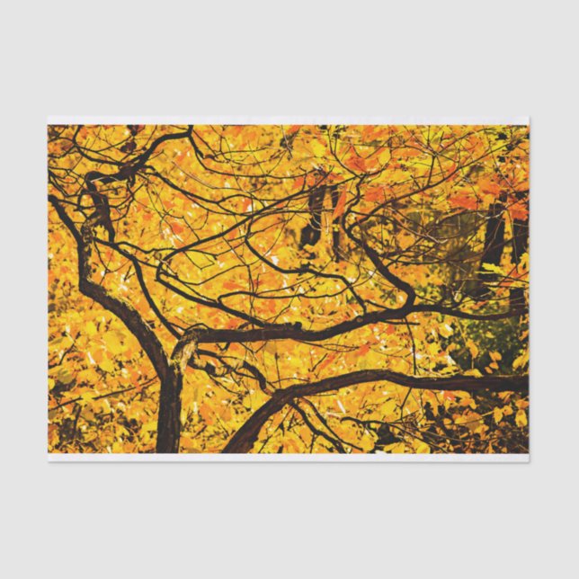 Papier Mousseline Veines D'Or De L'Automne (Recto)