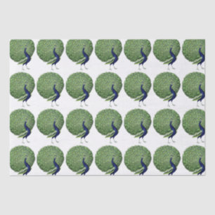 Papier Mousseline Ventilateur Open Peacock