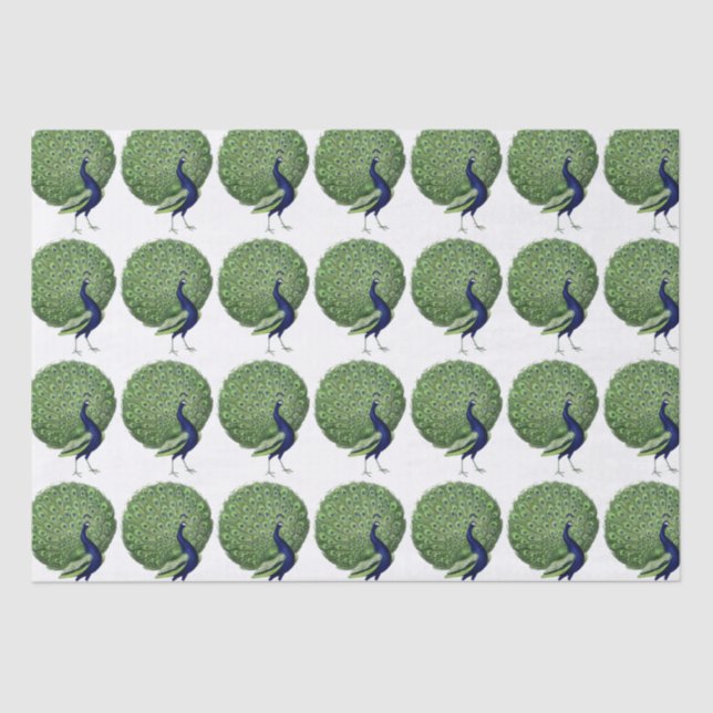 Papier Mousseline Ventilateur Open Peacock (Recto)