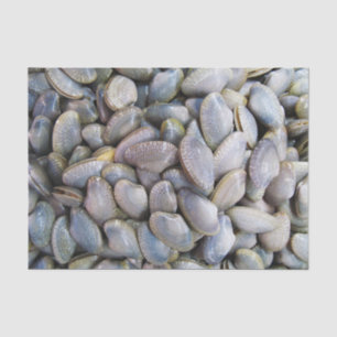 Papier Mousseline Venus Clam [ห อ ย ล า ย]