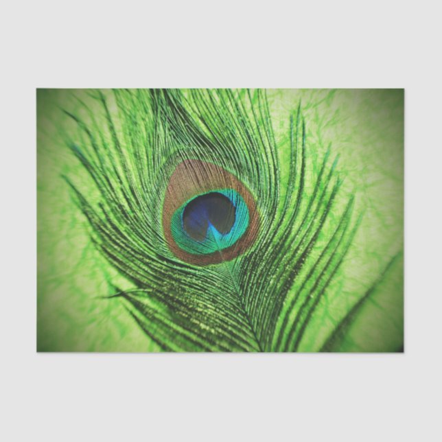 Papier Mousseline Vert de chaux de paon (Recto)