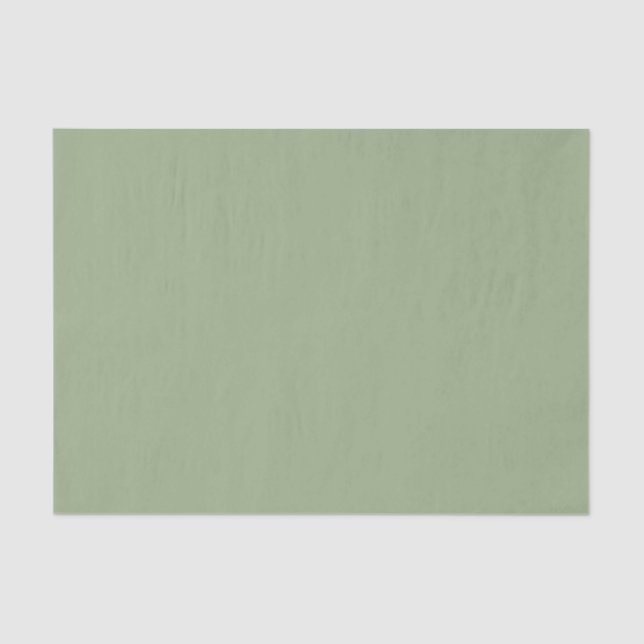 Papier Mousseline Vert Sage moderne Couleur uni (Recto)