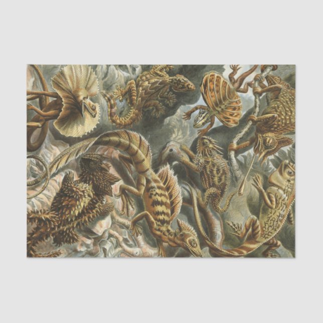 Papier Mousseline Vieille illustration Lacertilia de mode d'Ernst (Recto)