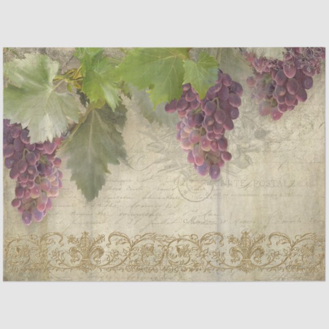 Papier Mousseline Vignoble Vignoble Vin Graphe Script Ephemera (Recto)