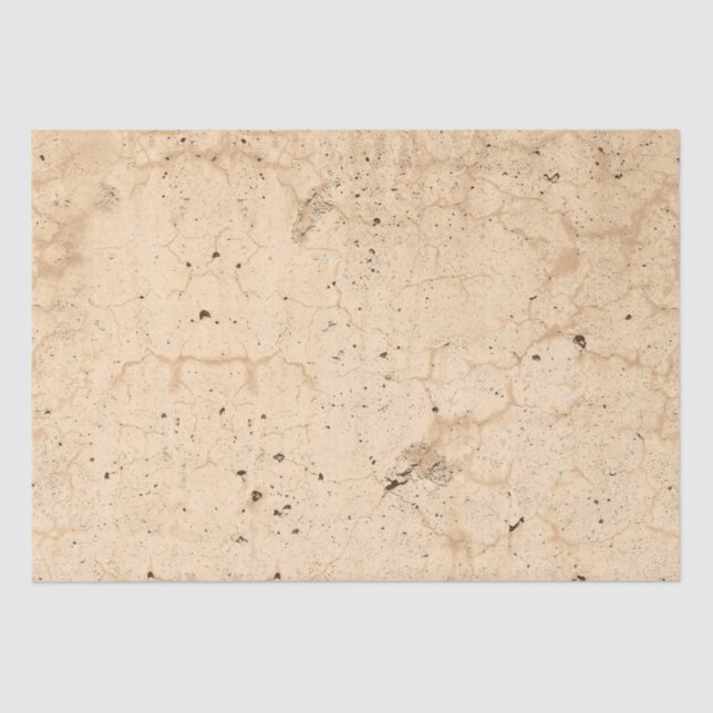 Papier Mousseline Vintage Antique Beige Country Farmhouse Grunge (Recto)