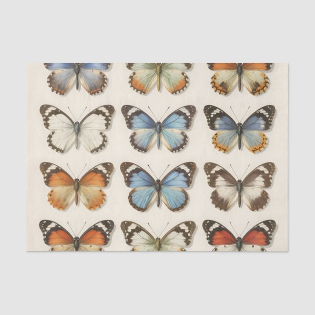Papier Mousseline Vintage Butterfly Specimen Collection (Recto)