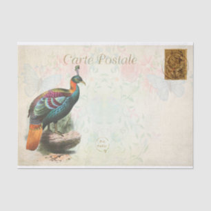 Papier Mousseline Vintage Coloré Exotique Oiseau Floral Français
