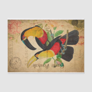 Papier Mousseline Vintage Deux Oiseaux Toucans colorés Floral França
