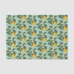 Papier Mousseline Vintage Fruit de citron Fleur de fleurs Sage vert