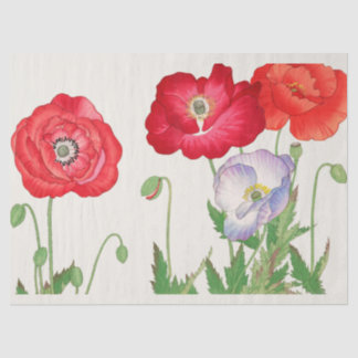 Papier Mousseline Vintage Japanese Poppy Botanical Art 1917