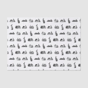 Papier Mousseline Vintage Lapin Bunnies Art PERSONNALISÉ COULEUR ARR